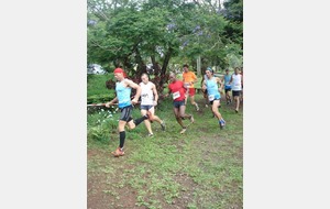 DSC04995 (Copier).JPG