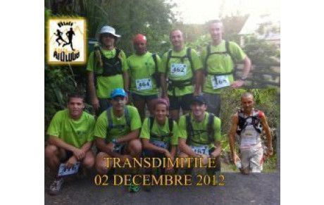 TRANSDIMITILE 2012